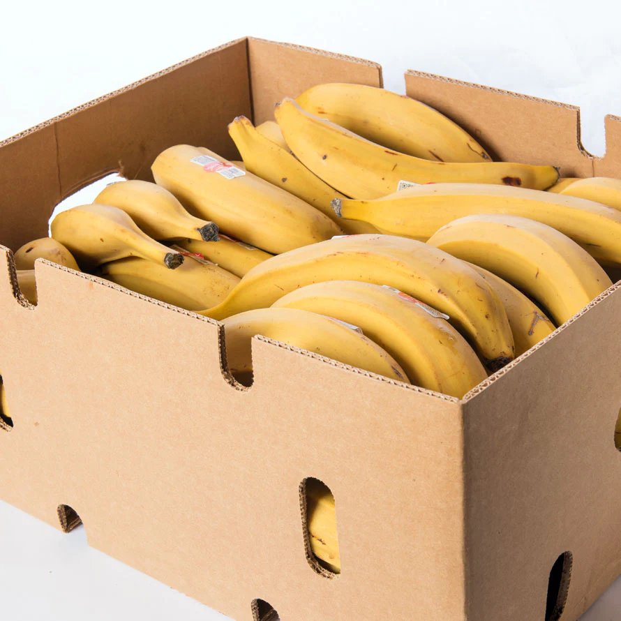 Original reference photo of ripe yellow plantains in a cardboard produce case
