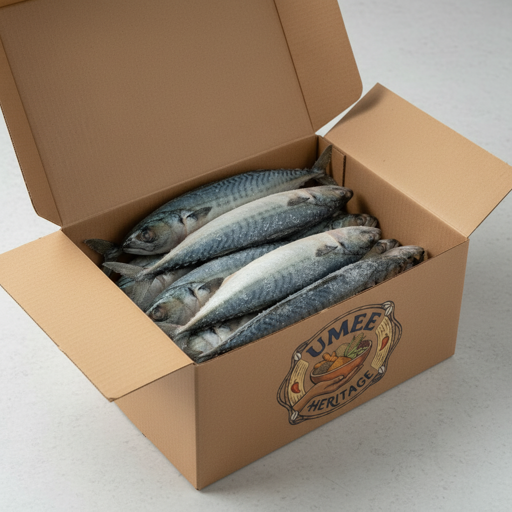 Frozen Jack Mackerel in Box