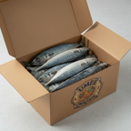 Frozen Jack Mackerel in Box