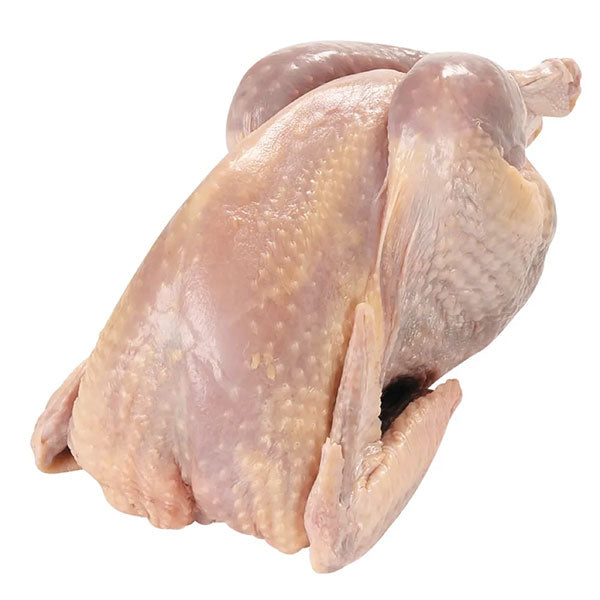 Whole Hard (fowl) Chicken box