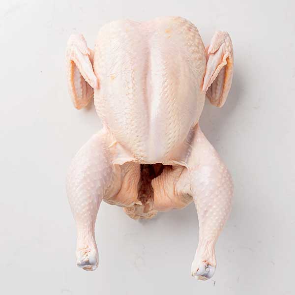 Fresh Whole Chicken 20lb box
